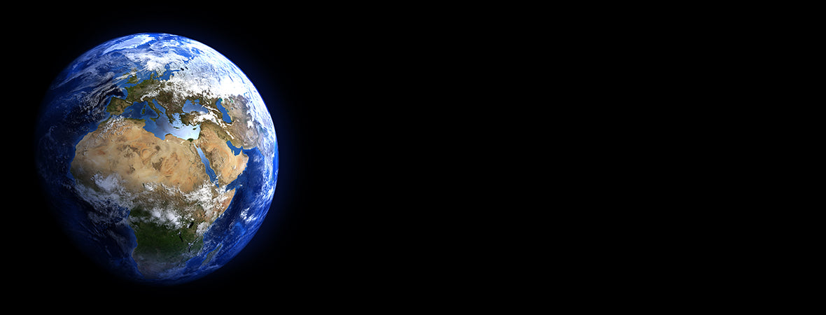 Eden Ashram plant 1,000 Trees on World Earth Day