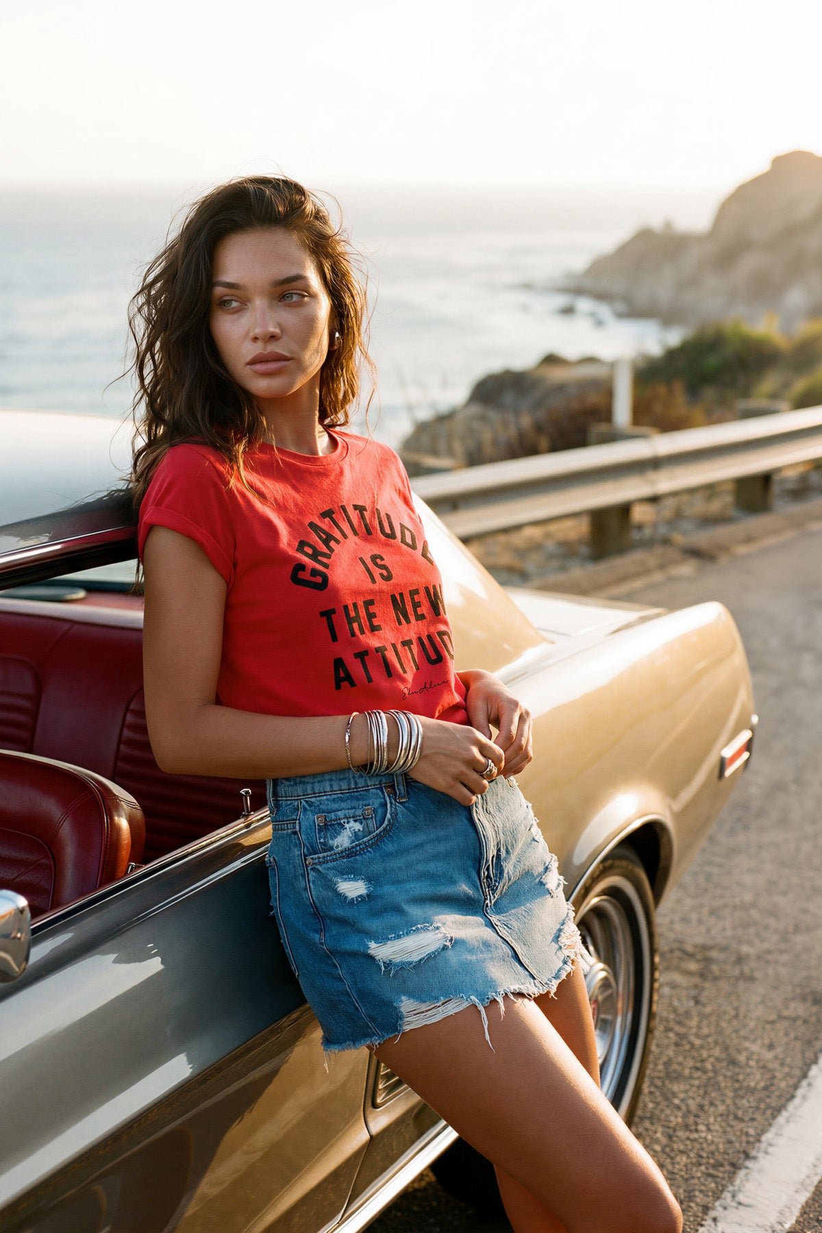 Gratitude Is The New Attitude Premium Rolled Sleeve T-Shirt